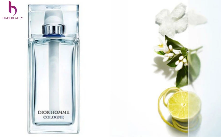Tầng hương Dior Homme Cologne
