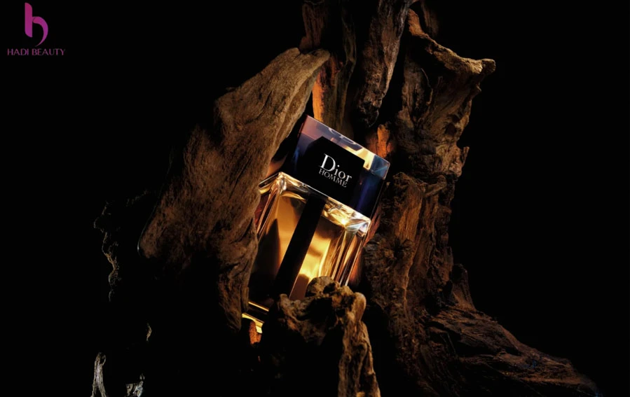 Mùi hương nước hoa Dior Homme EDT